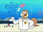 Sandy Cheeks as Amy/Sailor Mercury