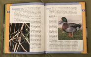 Scholastic Encyclopedia Of Animals (16)