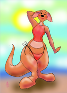 Kanga at the beach!