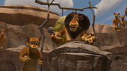 Madagascar2-disneyscreencaps.com-4542