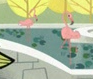 PPG Movie Flamingos