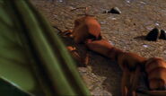 Antz-disneyscreencaps.com-5405