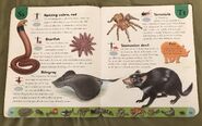 Deadly Creatures Dictionary (22)