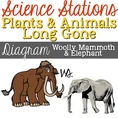Diagram Mammoth vs Elephant.jpg (50 KB)