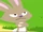 Rabbit (Skunk Fu)