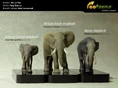 Three Species Of Elephants and Two Mammoths.jpg (137 KB)