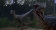 Raptor: (Grabs Snow White and runs away to the hotel while Balto and Charlie are pursuing)