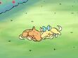 Betty and Billy sleeping in The Trouble With Kittens