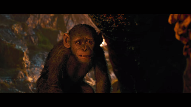 Category Monkeys The Parody Wiki Fandom Category Monkeys The Parody Wiki Fandom