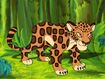 Rileys Adventures Brazilian Jaguar