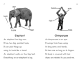 Chimps and Elephants.png (8 KB)