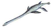 Elasmosaurus