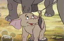 Elliottchipndale.png