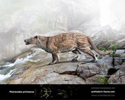 Phenacodus-primaevus-2019-738x591.jpg