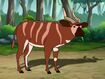 Rileys Adventures Mountain Bongo