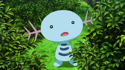 Wooper anime