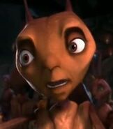 Z in Antz