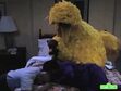 Big Bird sleeps with Gordon and Susan through the hurricane night