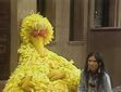 Buffy finds Big Bird napping on the wall in episode 1216