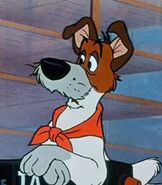 Dodger in Oliver and Company