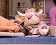 Gladys,PigandSheepEyelids