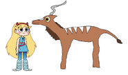 Star Meets Kudu