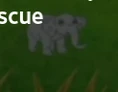 Baby Elephant.png (16 KB)