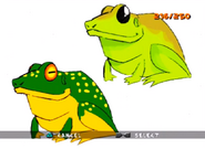 Green Yellow and Lime Frog ty-the-tasmanian-tiger