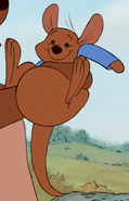 Kanga grabs roo 2