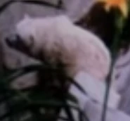 SPBLU Polar Bear.png (58 KB) South Park: Bigger, Longer & Uncut (1999)