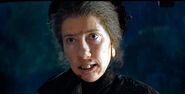 Nanny McPhee as Sybil Trelawney