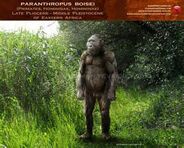 Paranthropus as Panoplosaurus