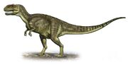 Yangchuanosaurus-shangiouensis-sergey-krasovskiy 7367