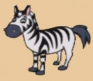 Zebra wtpk