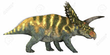 36372341-Coahuilaceratops-on-White-Coahuilaceratops-was-a-herbivore-that-lived-in-the-Cretaceous-Era-of-Mexic-Stock-Photo.jpg