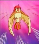 Ash's Pidgeotto