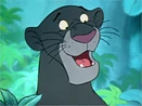 Bagheera Close Up.gif (53 KB)