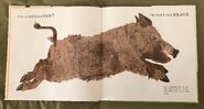 Can an Aardvark Bark? (5)