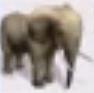 Elephant-rct3.png (21 KB)