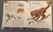 Extreme Animals Dictionary (11)