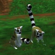 Ring-Tailed Lemur Game zooempire2