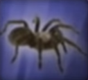 Spider-disneythinkfast