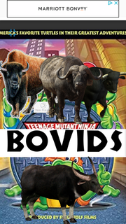 TMNBVDS1987 Poster.png