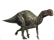 Altirhinus as Iguanodon