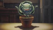 Baby Audrey II smiling