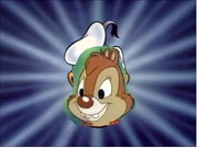 Dale aka donald duck