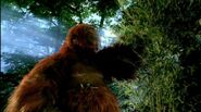 Gigantopithecus as Gigantoraptor