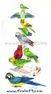 Parrot Stack
