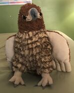 Rizzo the Red-Tailed Hawk