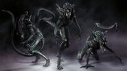 Xenomorphs as Ralph Viruses